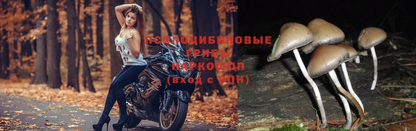 кокаин перу Армянск